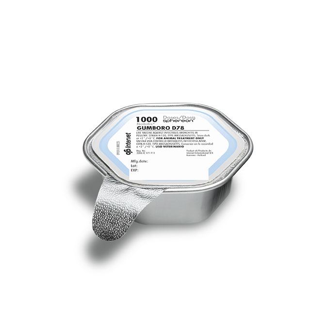 NOBILIS GUMBORO D78-SPHEREON