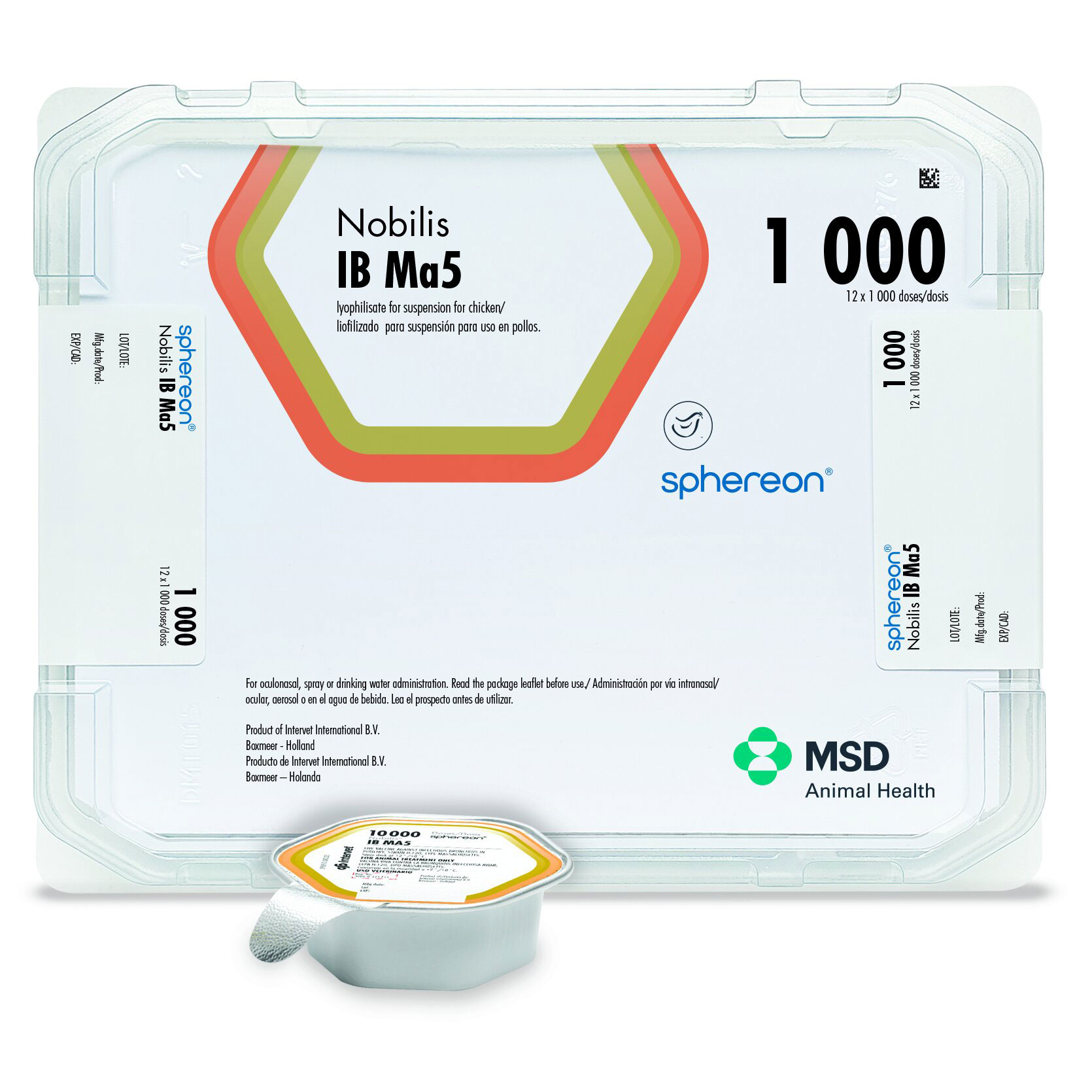 NOBILIS IB MA5-SPHEREON