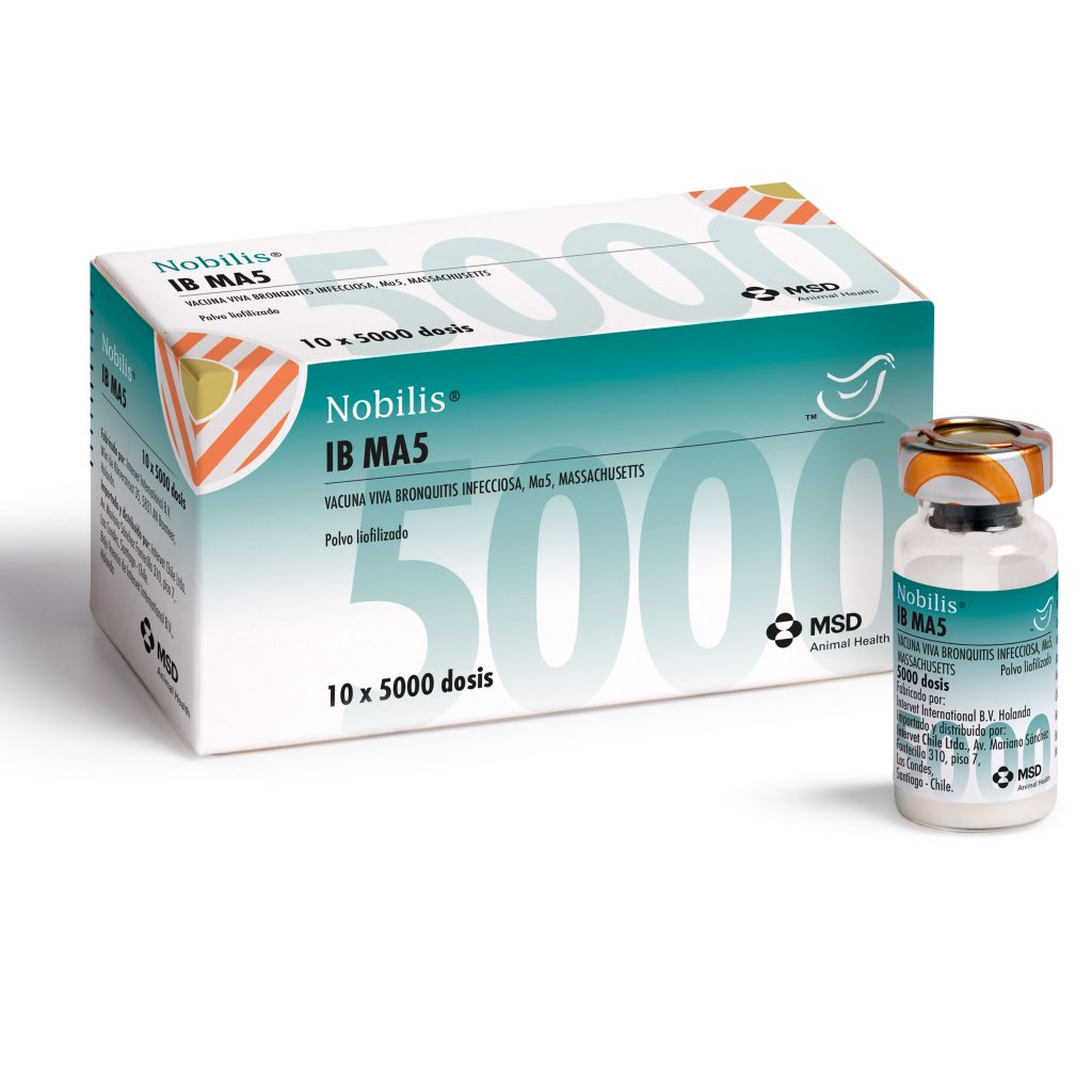 NOBILIS IB MA5 – PT SHS International
